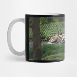 African Wild Dog Mug